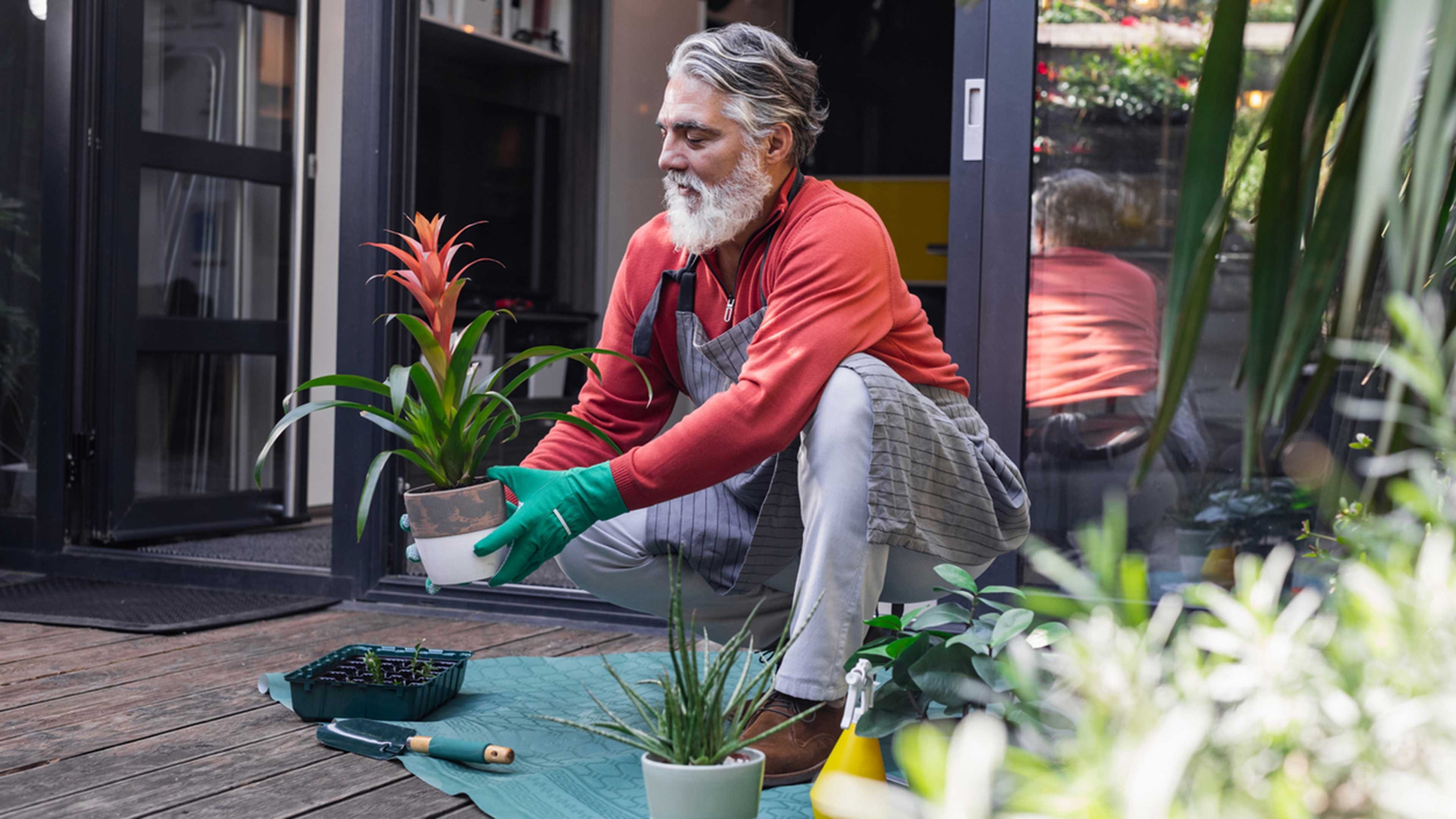Älterer Mann steht auf der Terrasse, umgeben von verschiedenen Zimmerpflanzen, und kümmert sich um die Gartenarbeit.