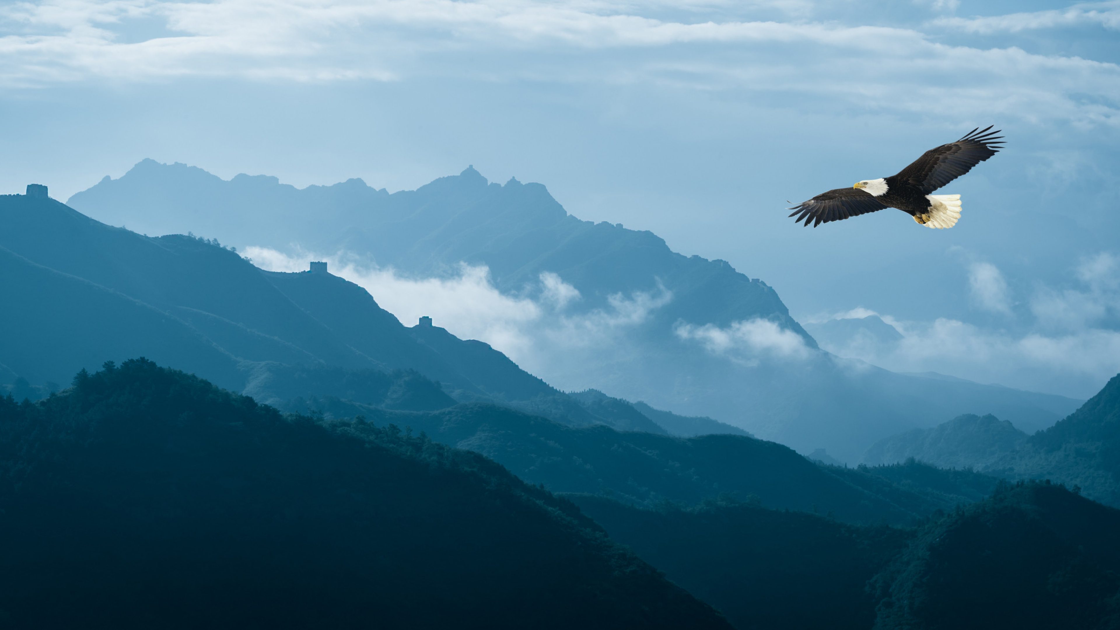 Eagle flying over mist mountains in the morning