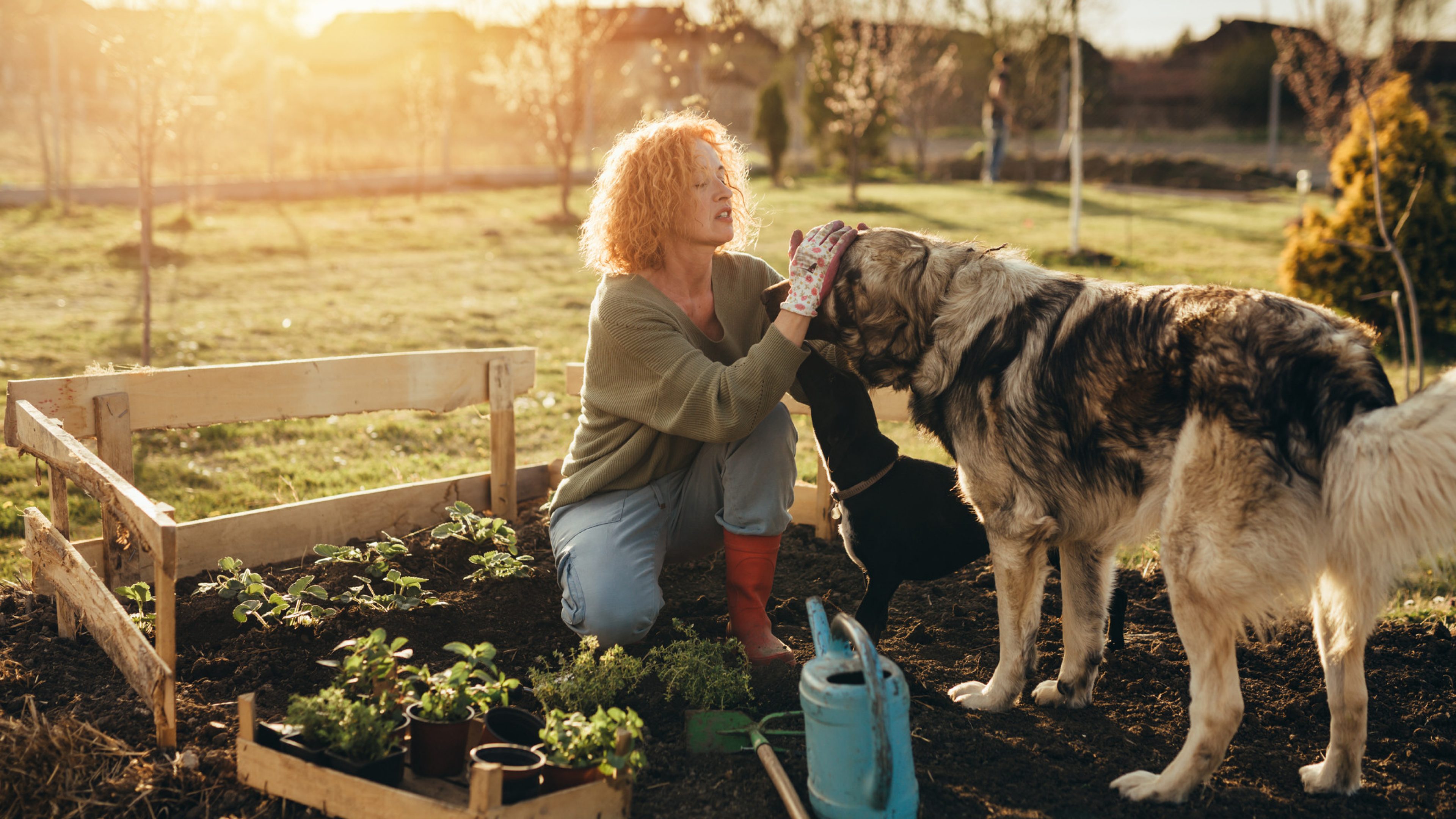 Frau arbeitet mit ihrem Hund im Garten