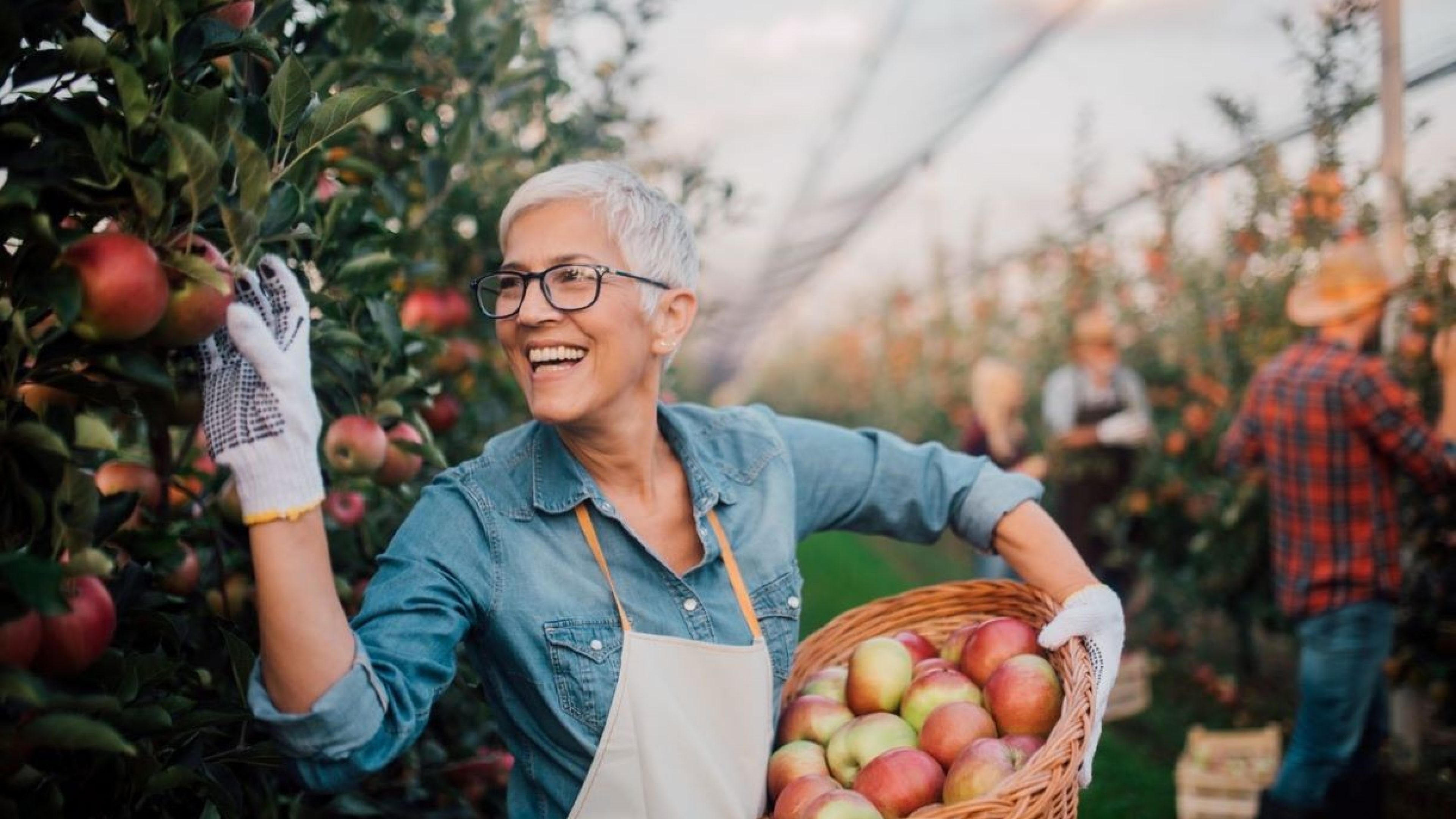 Freiwillige Einzahlung in die Pensionskasse 