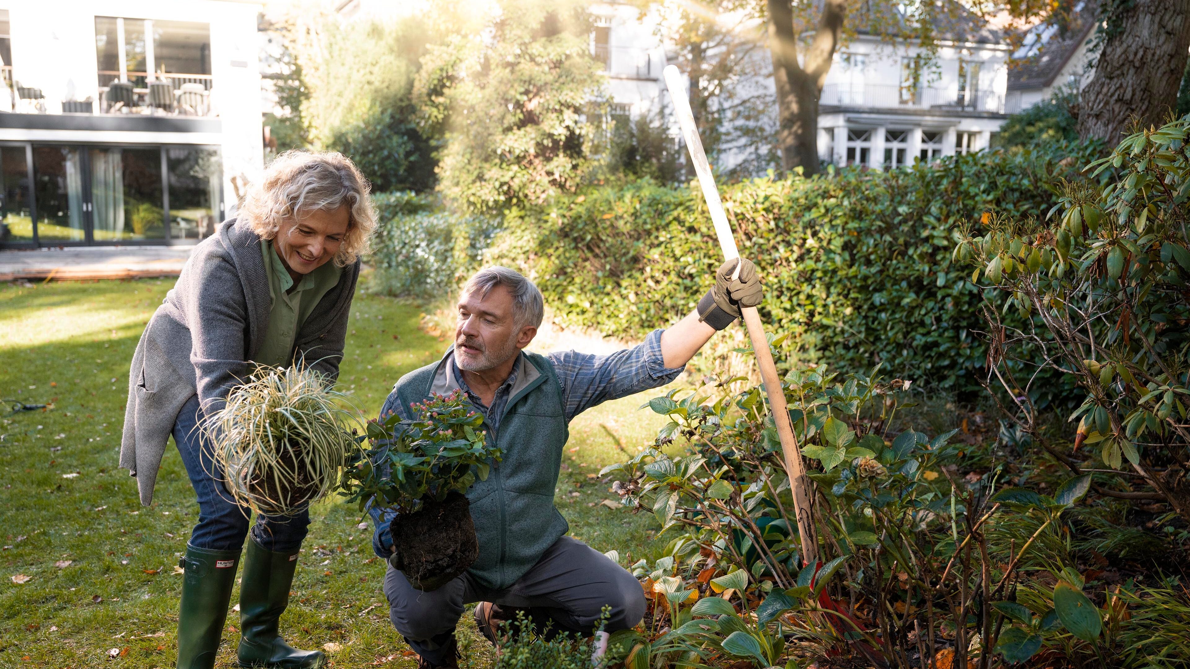 Älteres Ehepaar bei der Gartenarbeit