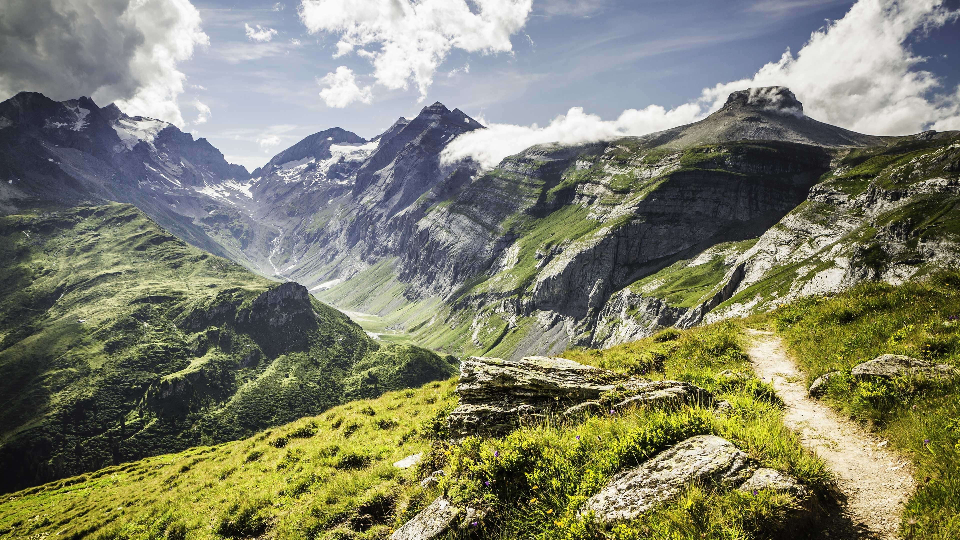 Swiss Life Wealth Managers 